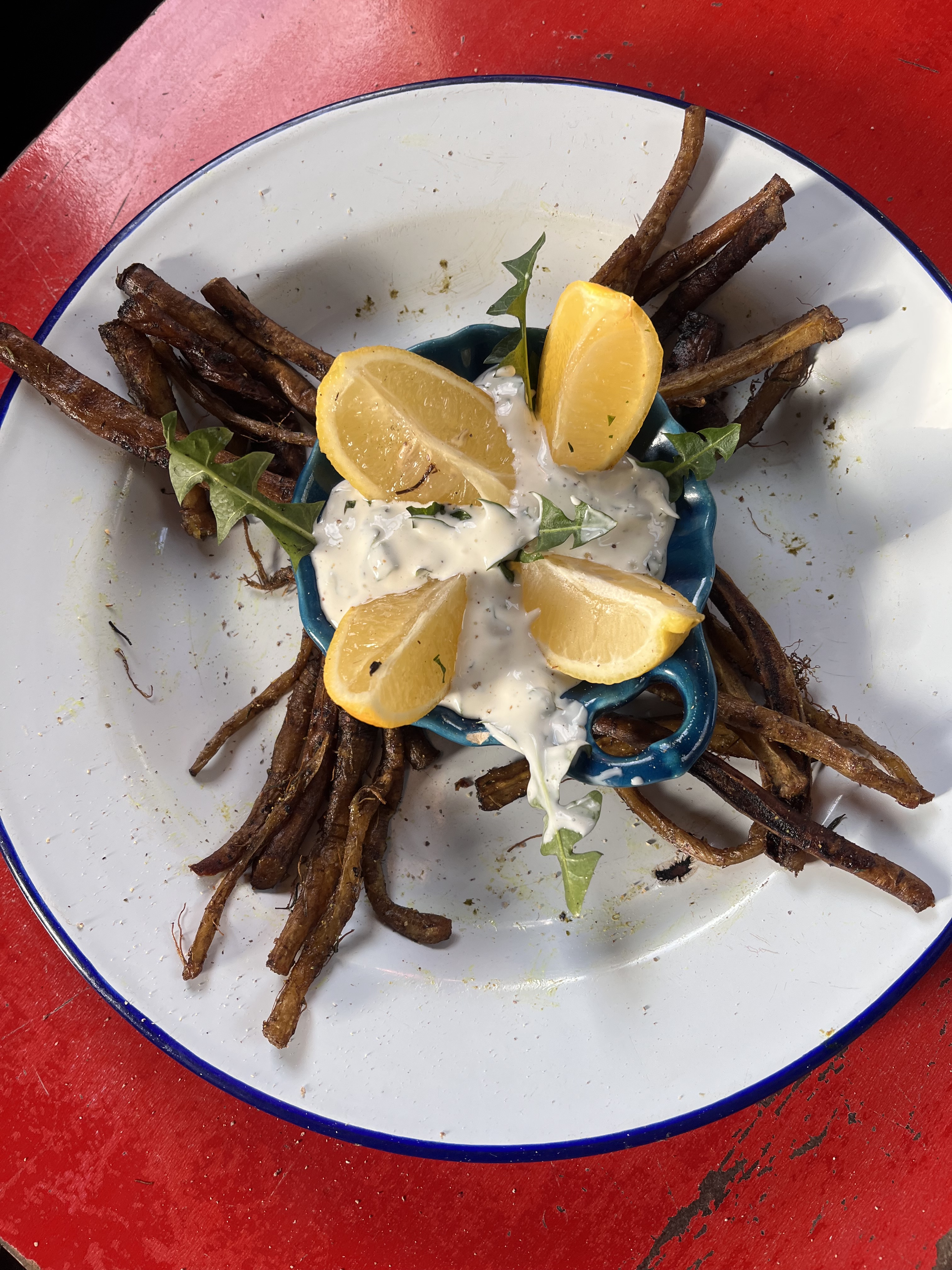 6 Roots You Can Eat In Winter (If Trump Destroys the World…)