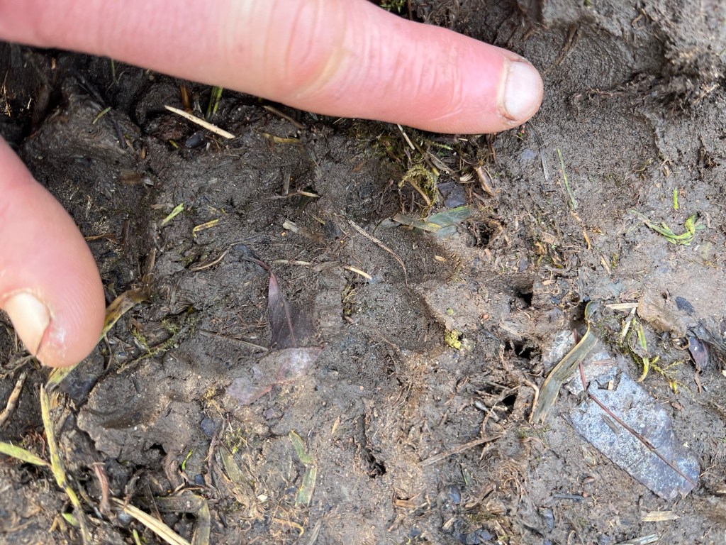 Track & Sign: Pt&nbsp;1