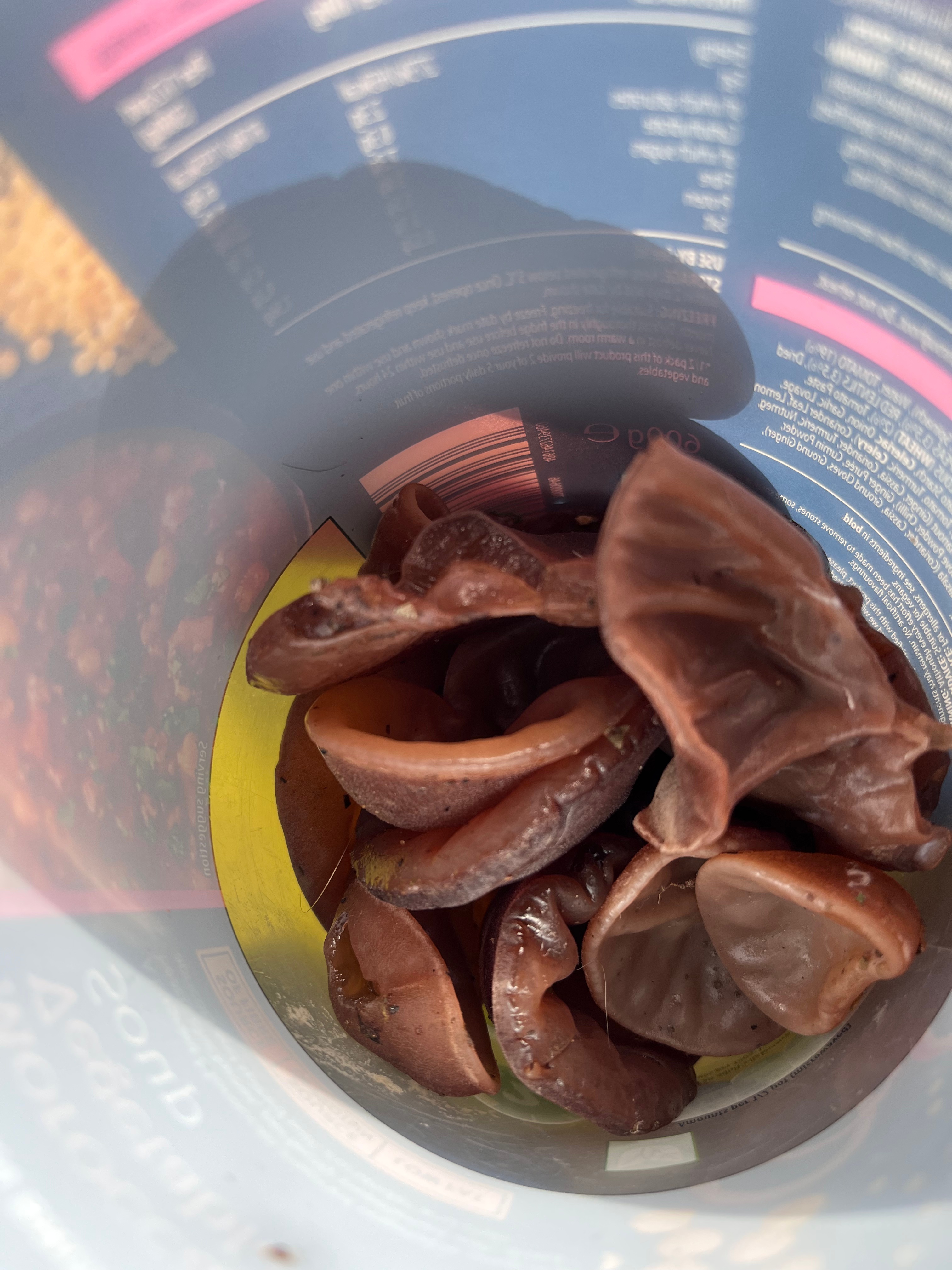 FORAGE Gorse & Jelly Ear, Meet Scarlet Elf Cup