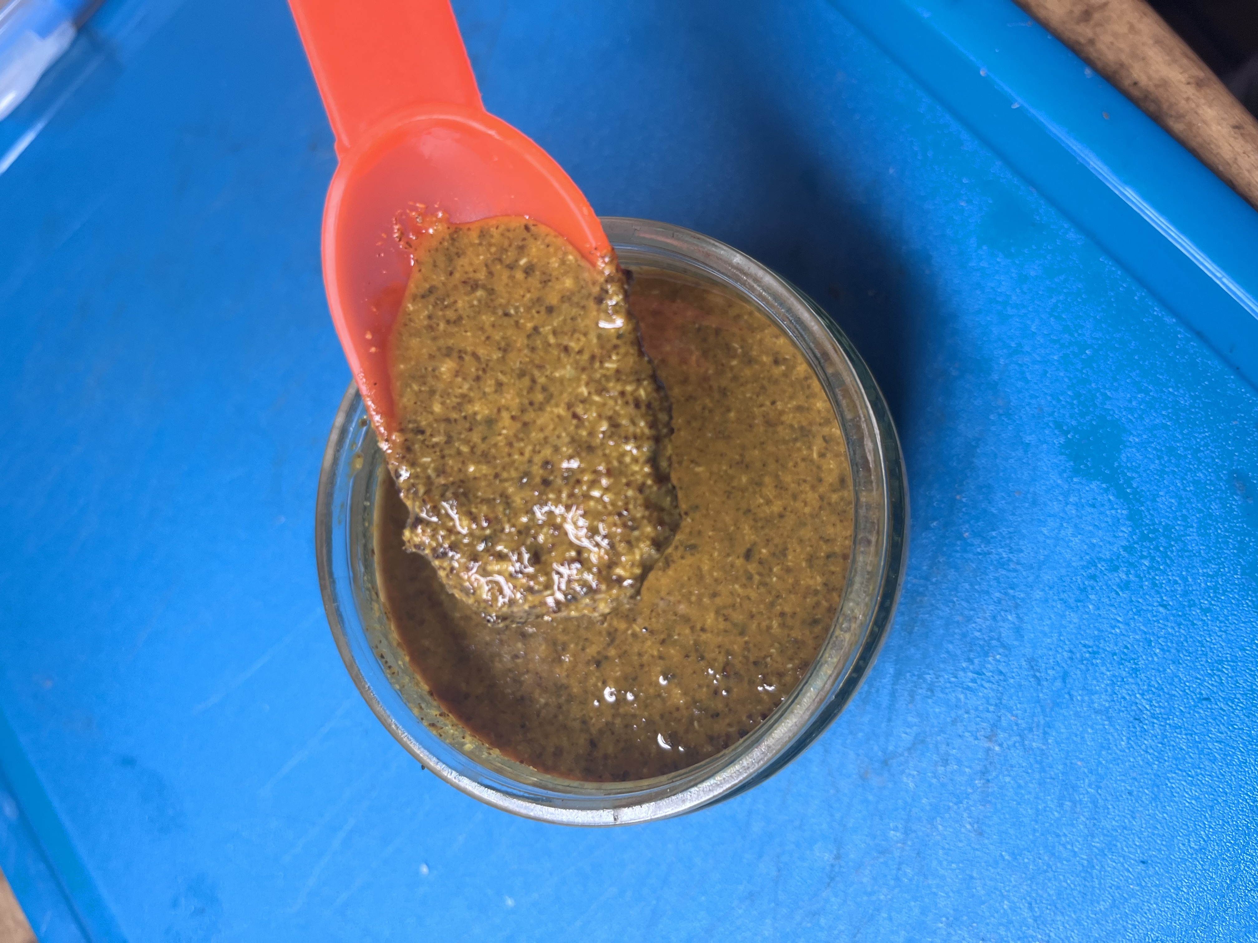 How to Make ‘Wild Jack’ Mustard!